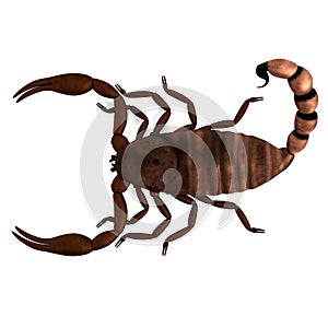 Render of scorpion