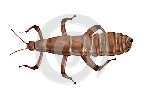 Render of spectre insect