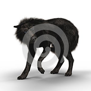 Rendering Submissive Black Wolf photo
