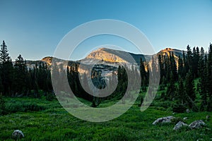 Rendezvous Mountain Rises Over Green Meadow