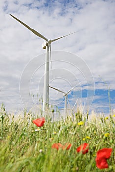 Renewable energy concept