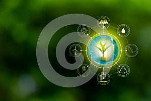 Renewable energy concept Earth Day or environment protection Hands protect forests that grow on the ground and help save the world