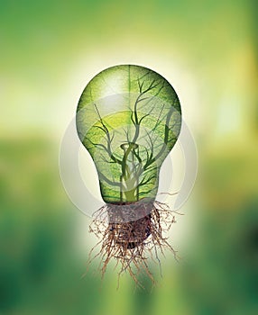 Renewable energy concept - Eco light bulb with leaf and branches inside and roots