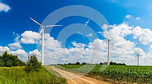Renewable energy concept. Wind mill farm in rural area. Summer landscape