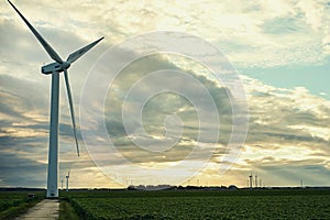 Renewable energy Im a big fan. a cluster of wind turbines standing in an open field.