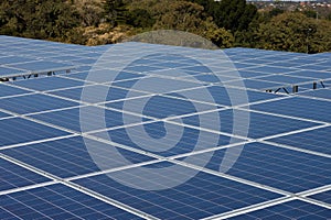 Renewable Energy Solar Panels with green trees