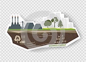 Renewable energy sources biomass energy