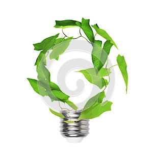 Renewable energy, sustainability, ecology. Light bulb made of green plant isolated on white background