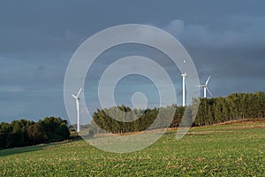 Renewable energy, wind turbines, biomass and forest.