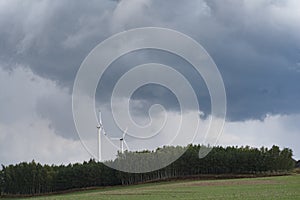 Renewable energy, wind turbines, biomass and forest.