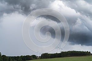 Renewable energy, wind turbines, biomass and forest.