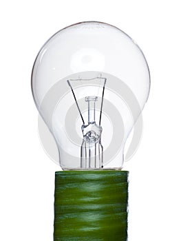 Renewable green bulb socket light