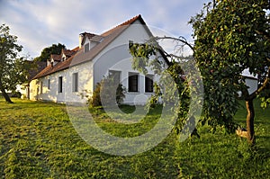 Renovated village homestead surrounded by fruit trees