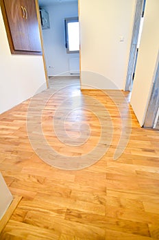 Renovating old apartment and parquet wooden hard floor.