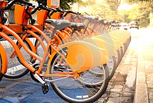 Rent and share bicycles parked on the street