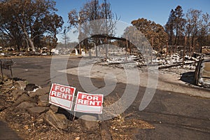 For Rent sign by burned out mobile home park in Oregon photo