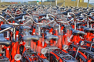 Rental bicycle parking