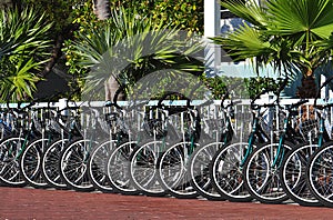 Rental Bicycles