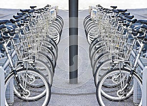 Rental bicycles parked on a street