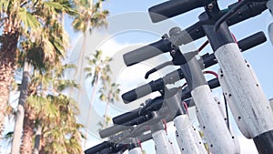 Rental electric scooters parked on street sidewalk, palm trees, California, USA.