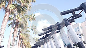 Rental electric scooters parked on street sidewalk, palm trees, California, USA.