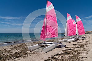 Rental pink sailboat boats at Noirmoutier beach in Vendee France