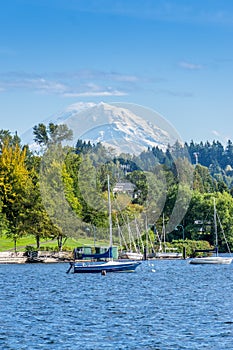 Renton_Park_Lake_Shoreline_4