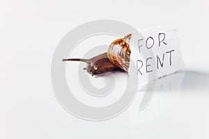 For rentÃ¢â¬Â¦ photo