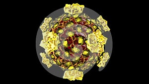 REOVIRUS CORE