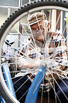 Repair of bicycles hobby is an older man photo