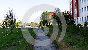 Repair of the road in the center of the city of Noyabrsk on Yamal in summer in 2023