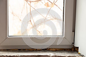 Repair of the slope on the window, fungus on the window
