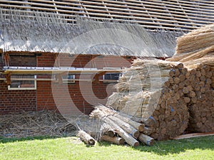 Repair of the thatched roof of an old farmhouse in Germany, Schleswig-Holstein