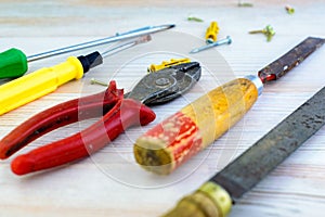 Repair tools on a wooden light background: file, pliers, pliers, screwdriver, screws, bolts