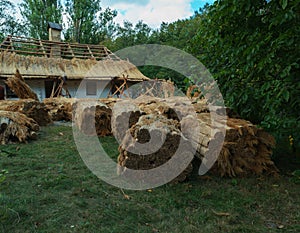 Repair of traditional thatched roof. Ukraine