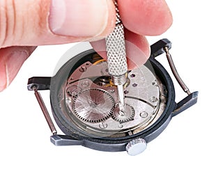 Repairer repairs old watch on white