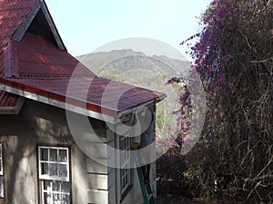 Repairs on a house in the caribbean