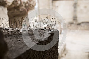 Repellent metal spikes installed over cornice of historic building photo