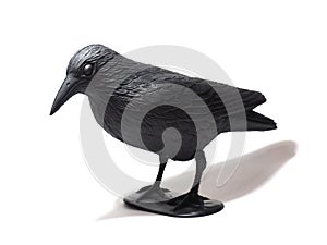 Repelling birds. Plastic crow isolated on a white background