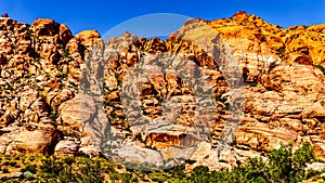 Repelling down the rugged Red Sandstone Rocks on the Trail to the Guardian Angel Peak in Red Rock Canyon Park