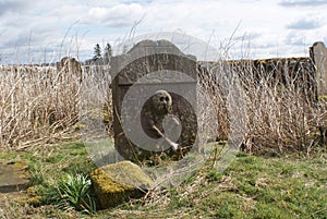 Repentance cemetery photo