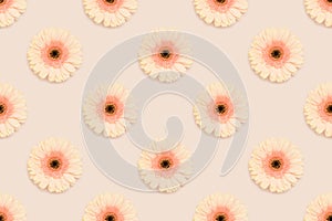 Repetitive pattern made of gerbera flower on a beige background.