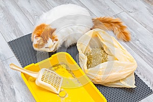 replacing dry litter in a cat litter box.