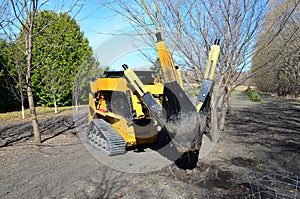 Replanting a tree