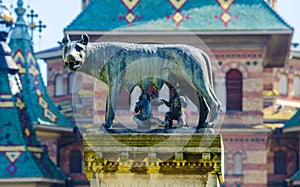 Replica of the Capitoline Wolf situated in romanian timisoara, a bronze sculpture of a she-wolf suckling twin human