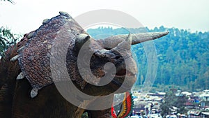 the replica dinosaur statue named triceratops at first glance looks like a rhinoceros. it has two long horns or horns on the head photo
