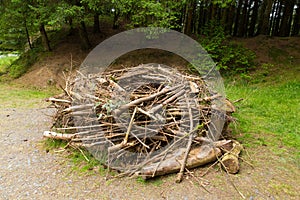 Replica Osprey nest built to model those found in trees