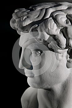 Replica sculpture of David photo