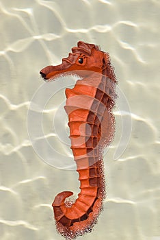 Replica seahorse