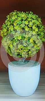 Replicas of ornamental plants that can be placed indoors or outdoors